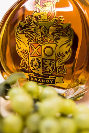 Brandy XO brandy-xo_9.jpg
